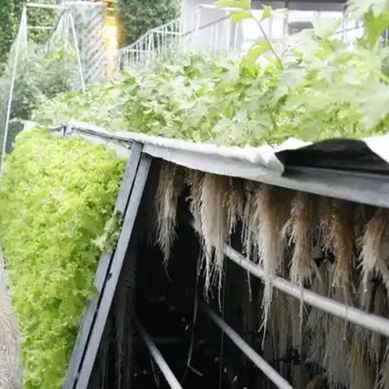 杭州市气雾培玻璃温室 - 一站式服务