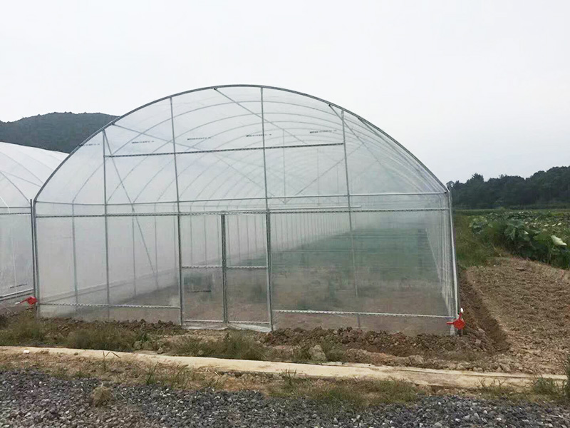 杭州市薄膜大棚大棚 - 推荐